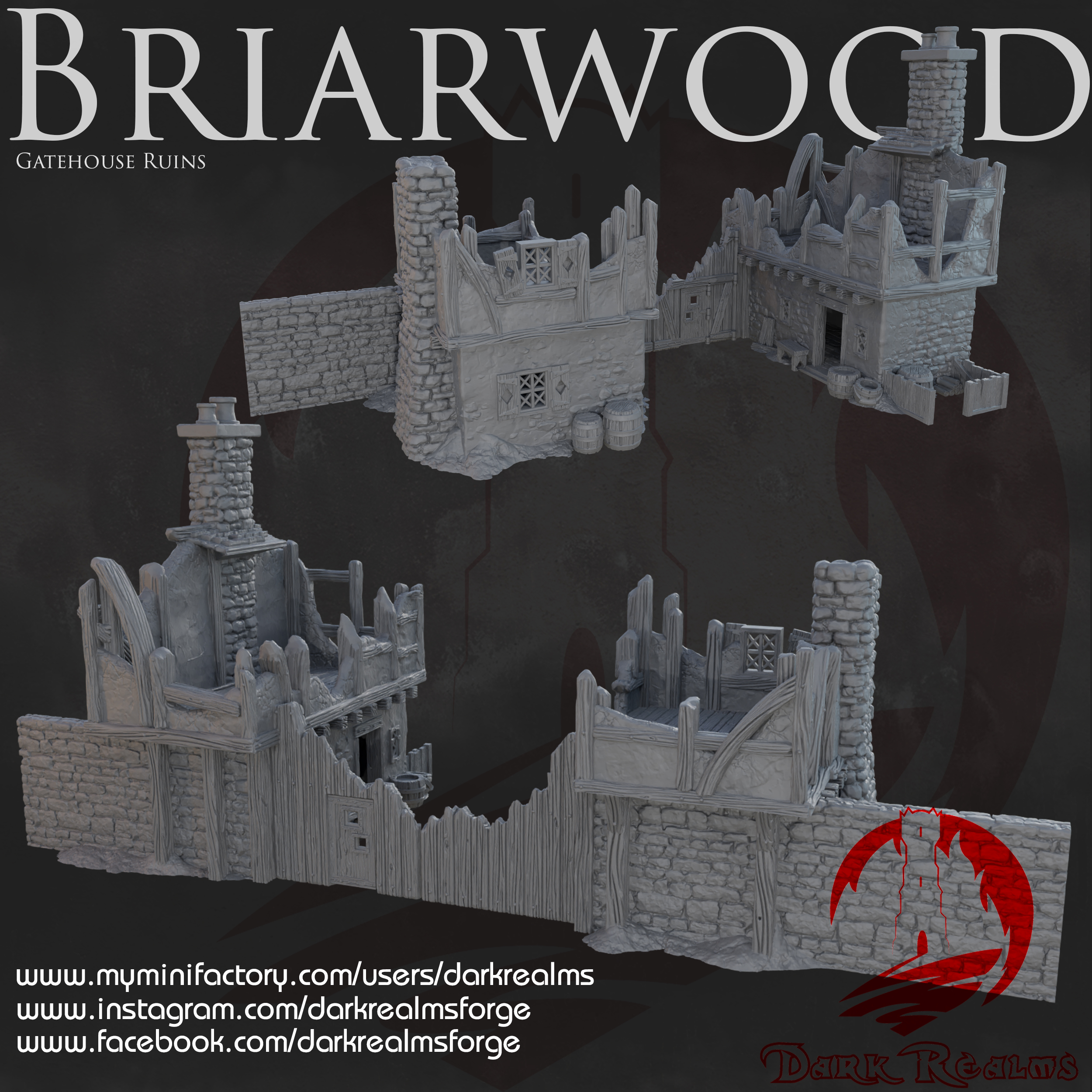 Dark Realms - Briarwood - Gate House Ruins